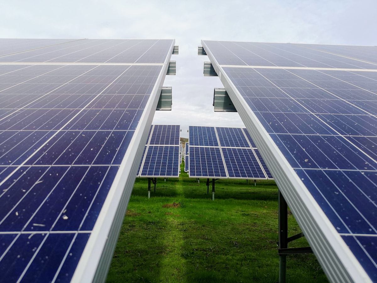 Tier-1 solar modules on a DYU Solar array